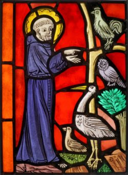 vitrail traditionnel,vitrail au plomb,Vitrail,Chartres,galerie du vitrail,vitraux,vente de vitraux en ligne, centre,eure et loir,eure et loire, cathédrale, Jacques Loire, Gabriel Loire